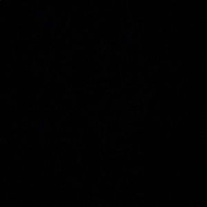 Meet your Posher, Jimmy